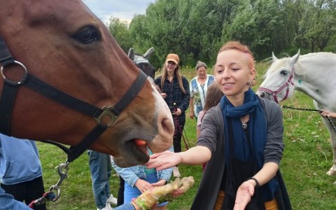 Руководители НКО познакомились с "Клубом любителей лошадей"