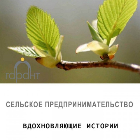 Валерия Шишко. Фабрика хаски