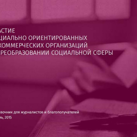 Участие социально ориентированных некоммерческих организаций в преобразовании социальной сферы