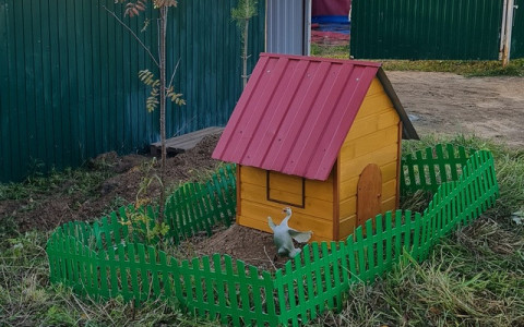 Конный клуб «Чародей» в Новодвинске преобразился благодаря конкурсу «Люди дела»