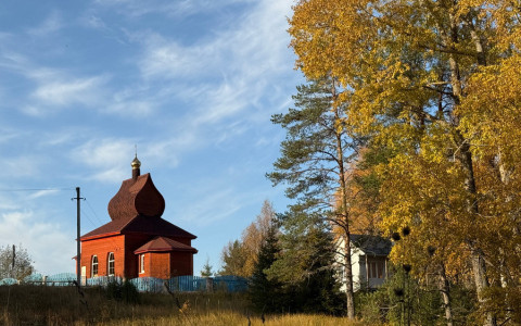 Новости нашей платформы "Область добра": проект Добрые вести