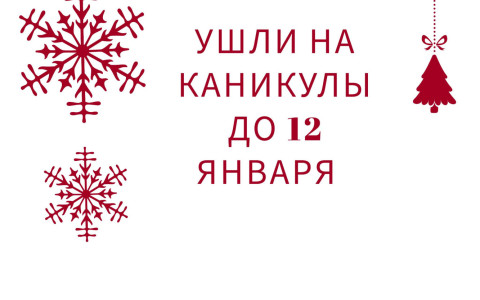 Ушли на каникулы до 12 января!