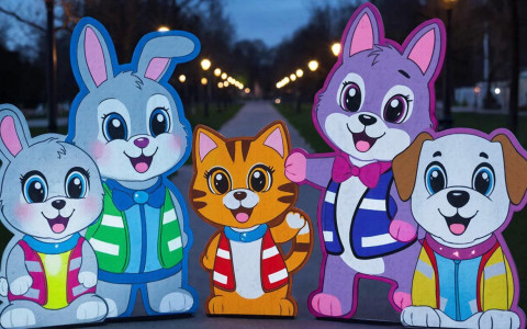 Котлас запускает проект «Яркий – Я!»: как сделать безопасность на дороге модной и творческой