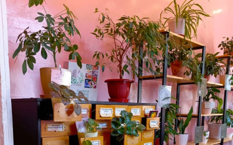 Вельская библиотека завершила сбор средств на создание литературных миров за старинными печными дверцами