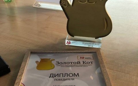 Архангельский Центр социальных технологий «Гарант» получил первое место конкурса «Золотой кот»